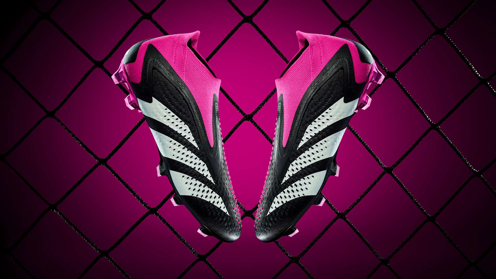 发了球迷的 发了球迷的